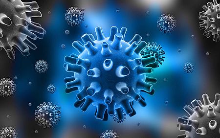 foto del virus