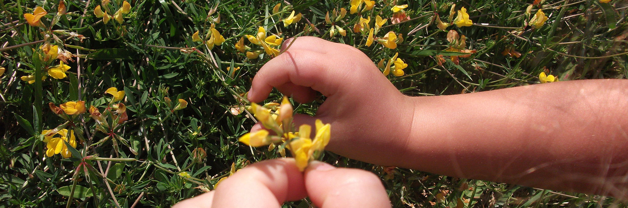 foto con mani di bambino