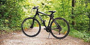 foto bicicletta nel parco